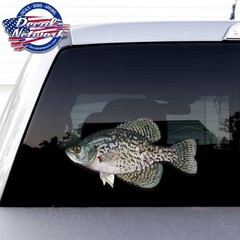 BLACK CRAPPIE Fish Full Color Vinyl Decal Set of 2 R/L Facing 5.3″x 10″ vehicle