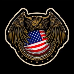 American Eagle (Protecting The Country) Vynil Decal 6 Years + Resistance +++
