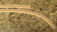 1977 Can Am Left & right mirror stripes