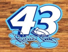 Richard Petty Number 43 Logo Water Proof UV Safe Glossy Vinyl Decal Racing