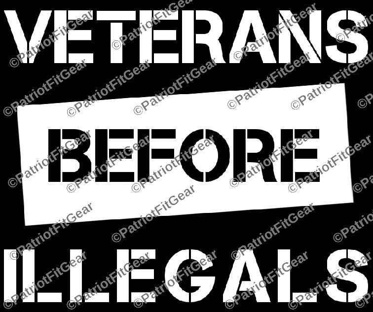 Veterans Before Illegals,Support Our Troops,12″x9″,We The People,Vinyl Decal