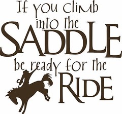 Cowboy Horse Rodeo Cowgirl Western Funny Car Truck Window Vinyl Decal Sticker
