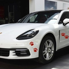 4 PCS 3D Red Dog Paw Car Decal Auto Bumper Window Laptops Decor Emblem Decal