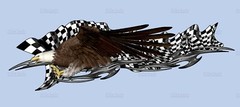 3D Bold eagle Car Wrap, Blade Car Vinyl, Racing flag Car 3D Graphics