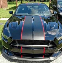 Ford Mustang Bonnet Roof Rear Pin Stripes Graphics Any Year Model Decals Rally