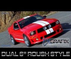 2010 – 2012 Ford Mustang Shelby Lemans Roush Style Rally Stripes Dealer Quality