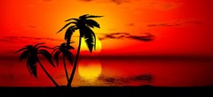 Golf Cart Tropical Palm Tree Large Rear Fender Wrap Charphics FIT EZGO Club Car