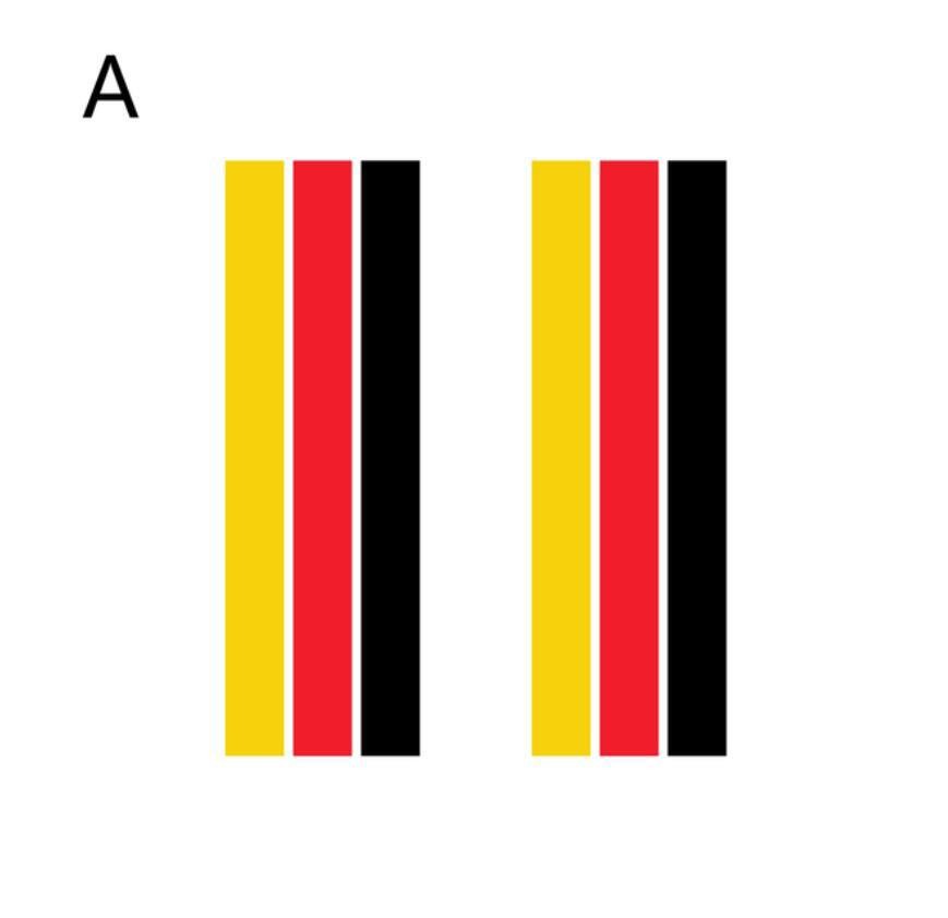 Tricolor Racing Stripe Graphics Sticker For BMW Audi VW Honda Toyota Side Decal