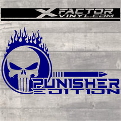 Flaming Skull Punishment Limited Edition Dicut Decal 2 Sizes FREE SHIPPING