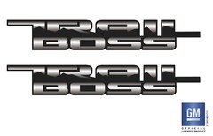 2019 2020 2021 2022 Chevy Silverado ” Next Gen” TRAIL BOSS Z71 Bedside Decals 2