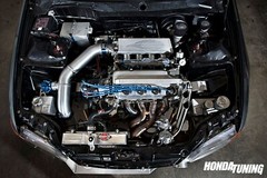 SAVE THE SOHC Decal Sticker – D Series Single Cam Vtec Civic D15 D16 JDM Del Sol