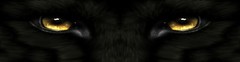 P202 Black Panther Rear Window Tint Graphic Decal Wrap Back Pickup Graphics