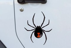 Redback Spider Sticker Aussie Funny Decal Car Window Laptop 2cm~140cm