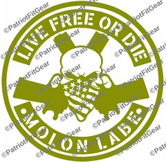 Live Free Or Die,Molon Labe,Skull,10″x10″,2A,Gun Rights,Gadsden,1776,Vinyl Decal