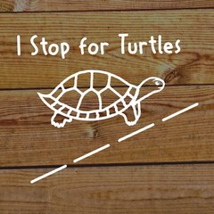 I Stop for Turtles Vinyl Waterproof Decal for Car Windows.