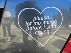 🚗 “Please Let Me Merge Before I Start Crying” Thermal Die Cut Decal 🚕