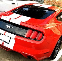 10 11 12 13 14 Ford MUSTANG 10″ DUEL Racing Vinyl Stripe Graphic Decal 36 FT.