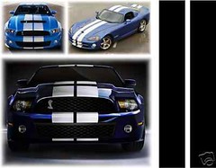 universal fit – 10″ Rally Stripes – FIT ANY CAR or TRUCK customizable lengths