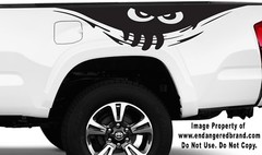 Peeking Monster eyes for top looking down trunk of car window bumper windshield