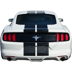 10 11 12 13 14 Ford MUSTANG 10″ DUEL Racing Vinyl Stripe Graphic Decal 36 FT.