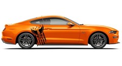 Eagle USA Flag Hood Door Vinyl Decal Racing Stripes (Fits Ford Mustang Cobra)