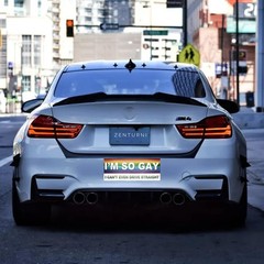 10-Pack Personalized Fun LGBT Bumper Stickers Colorful Magnetic Classic Style