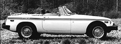 New 1962-1974 MG MGB OEM Upper Body Dual Side Stripe Kit Roadster