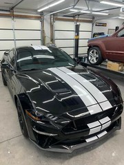 7.5″ Plain Rally stripes Graphics FIT 2015 – 2021 Mustang FDC/3M Vinyl
