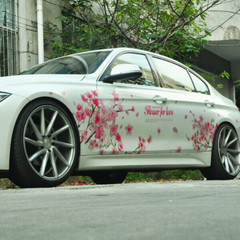 Graphics Cherry Blossom Car Sticker Lovely Flower Waist Line Vinyl Decal 2 Sides