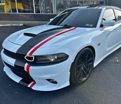 Universal 2color Offset stripes compatible with Charger Challenger Mustang Mini