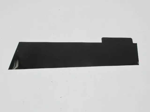 Genuine Mopar Rear Door Applique Right 4389930AD
