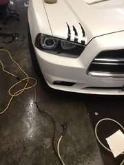 Headlight Claw Scratch PAIR Vinyl Decal Kit (Various Colors Avail)