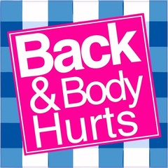 Back and Body Hurts Parody Funny Hard Hat Vinyl Bumper Sticker Window Decal