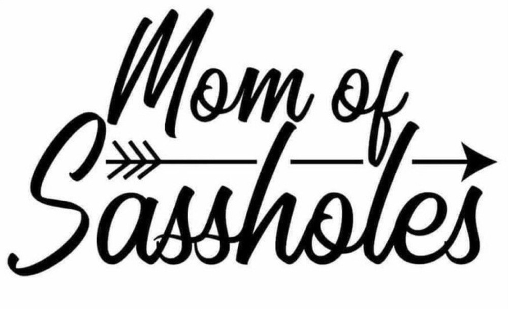 Mom Of Sassholes White Vinyl Decal Sticker