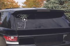 Beautiful Butterfly Dandelion Flowers for car truck laptop decal sticker 6″White