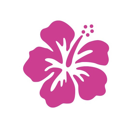 Hawaiian Hibiscus Flower Car Decal / Sticker – Pink Island Girl Beach Car Bumper