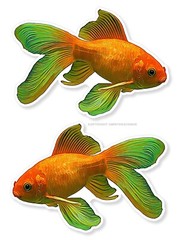 2 Pack – Goldfish Fishing Gold Fish Left & Right Facing Vinyl Sticker Decals 4″