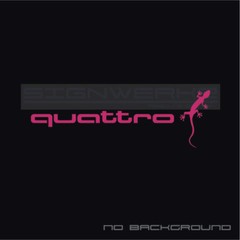 Audi Gecko quattro decal Sticker EURO Racing mod A4 S4 S3 TT R8 A6 Q5 Pair