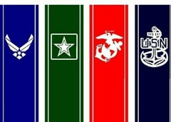 MILITARY Bedstripes Compatible with Dodge Chevy Ford Toyota . Any branch