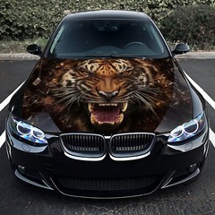 Angry Tiger Car Hood Wrap Decal Vinyl Sticker Full Color Graphic Fit any Car