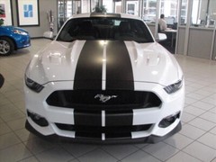 10″ PLAIN Rally Racing Stripe Graphics Stripes Set FIT 2015 – 2025 Mustang