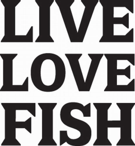 FISH 1/176 DECAL VINYL GRAPHIC POLE BAIT CAR TRUCK SUV AUTO TRAILER SEMI VEHICLE