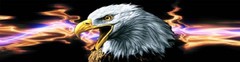 P424 Eagle Lightning Rear Window Tint Graphic Decal Wrap Back Pickup Graphics