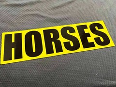 Reflective 30cm HORSES SOLO Hose Box Trailer Car Van Pickup Truck Stickers