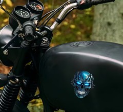 LED BLUE FIRE SKULL DEAD MARINE FIRE SOLDIER GHOST RIDER 4” VINYL STICKER DECAL