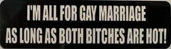 I’m All For Gay Marriage As Long As Both Bitches Are Hot Helmet Sticker B