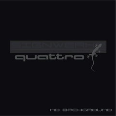 Audi Gecko quattro decal Sticker EURO Racing mod A4 S4 S3 TT R8 A6 Q5 Pair