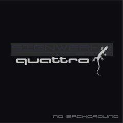 Audi Gecko quattro decal Sticker EURO Racing mod A4 S4 S3 TT R8 A6 Q5 Pair