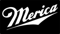 MERICA funny America USA Flag Vinyl Decal Sticker Car Truck Window