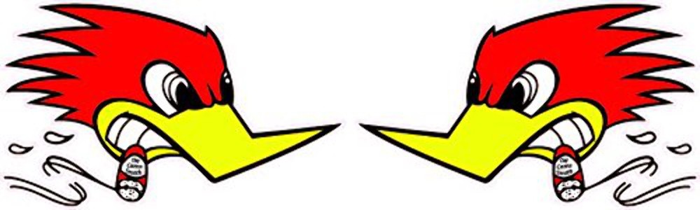 Hot Rod Bird Old School Right & Left Decal